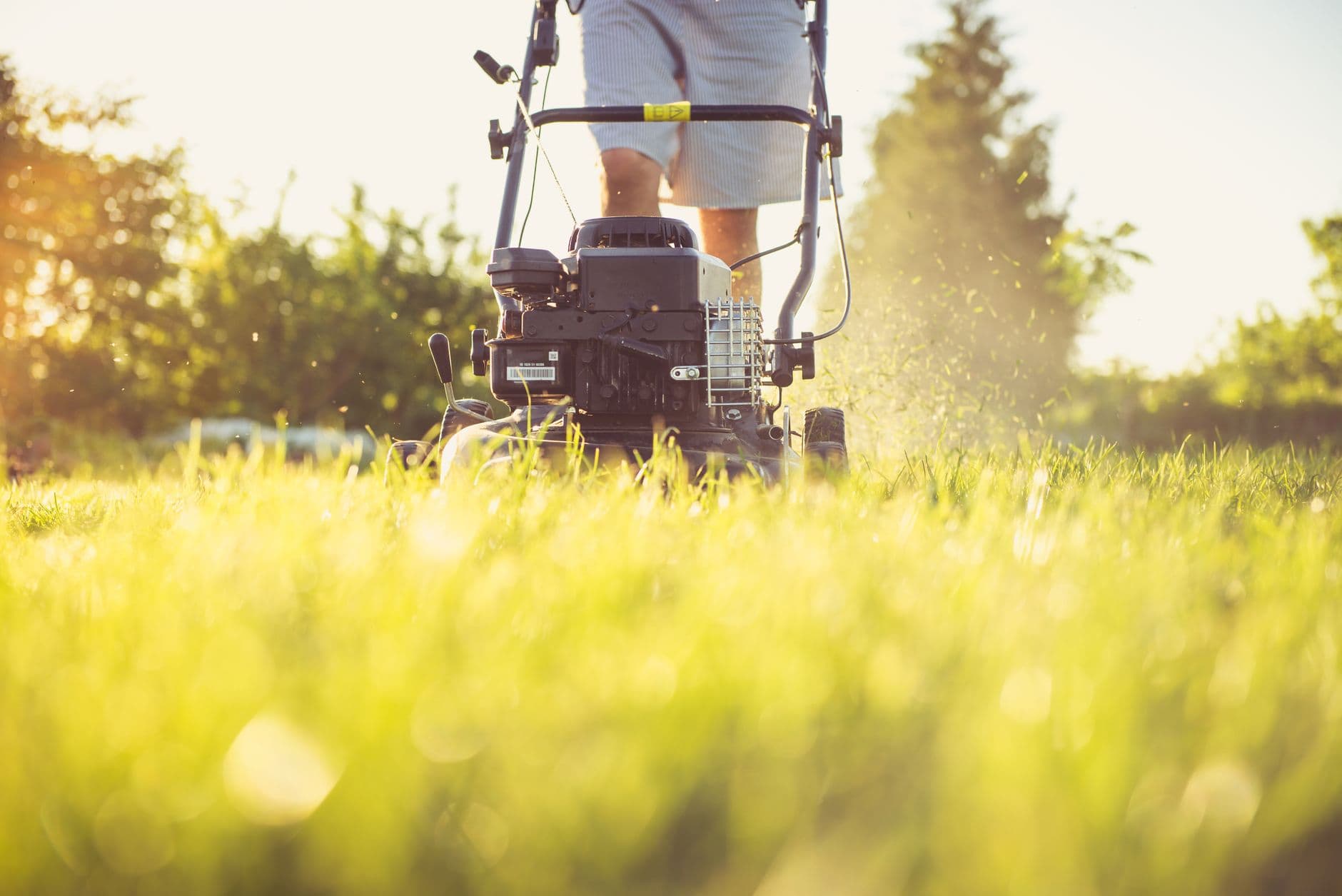 A landscaper mowing a lawn with a push mower in late-afternoon sun